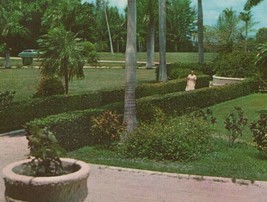 c1950s Spa Punta Gorda Florida royal palms Curt Teich postcard C266 - $11.57