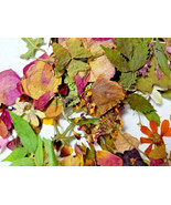 Dried Pressed Flowers Leaves Assorted Art Crafts Potpourri Scrap-booking... - $19.51