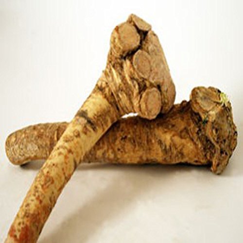 Horseradish Roots Natural, 1/2 pound, (No International Orders) Ready For Planti