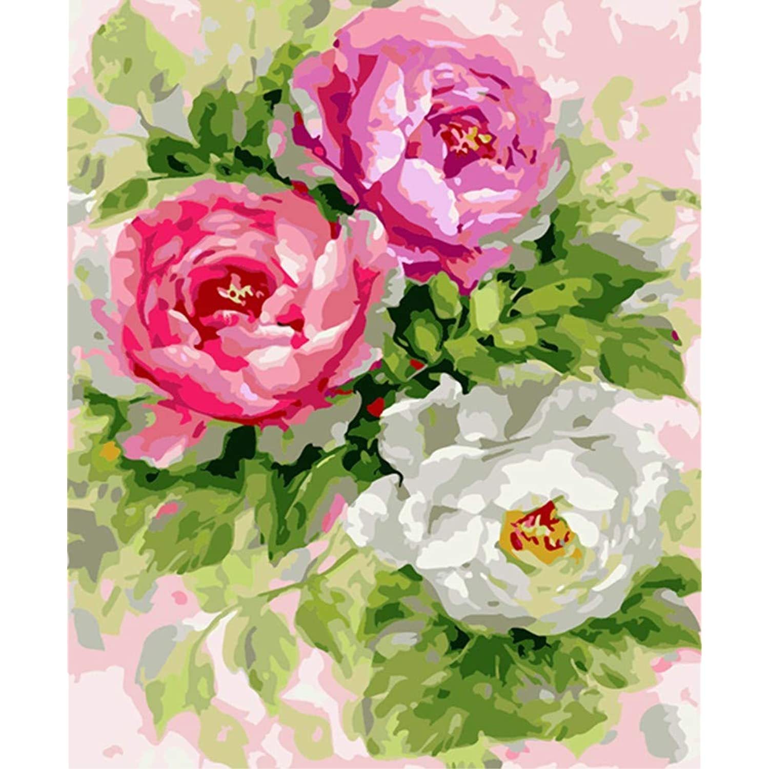 Diy Paint By Numbers For Adults Beginner - Beautiful Peony Flower 16X20 Inches N