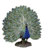 Large Gallery Quality Male Peacock With Exotic Iridescent Train Plumage ... - $399.99