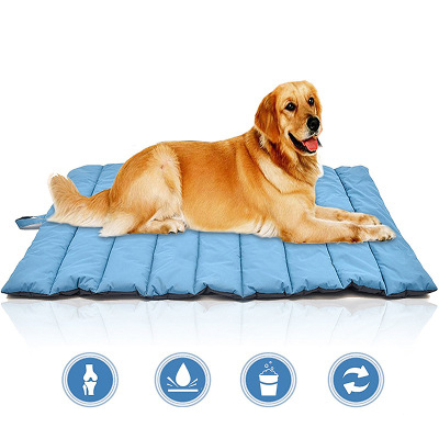 best soft dog beds