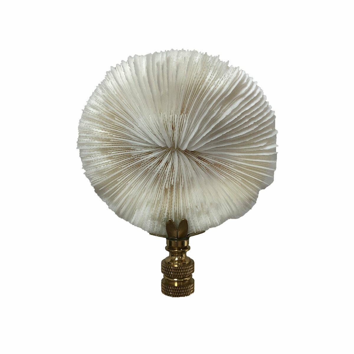 Natural Coral Lamp Finial, Nautical White Mushroom Coral on Polished Brass Base