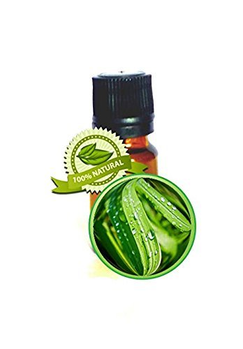 Lemongrass Essential Oil - 5ml(1/6oz) - PURE Cymbopogon Flexuosum -Therapeutic,