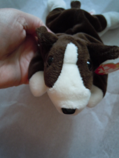 bruno beanie baby