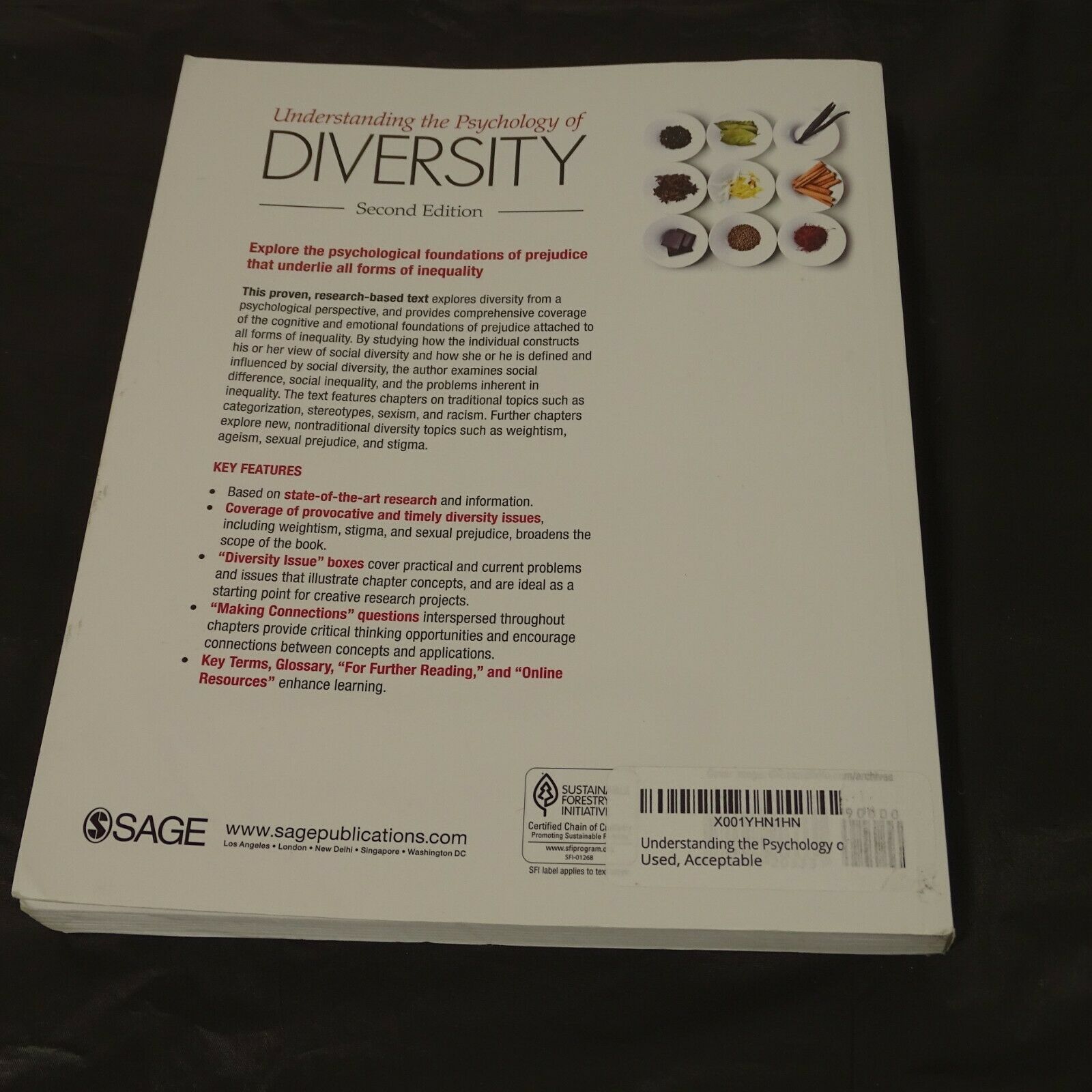 Understanding the Psychology of Diversity 2nd Edition Paperback Bruce E