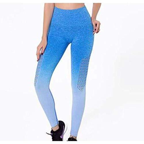 Hollow Out Yoga Sport Set Women Ombre Seamless Workout Gym Suit Girly Area S Pin