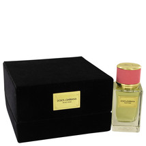 Dolce & Gabbana Velvet Rose Perfume 1.6 Oz Eau De Parfum Spray image 1