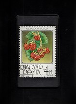 Framed Stamp Art - Postage Stamp from Hungary - Raspberries - $8.99