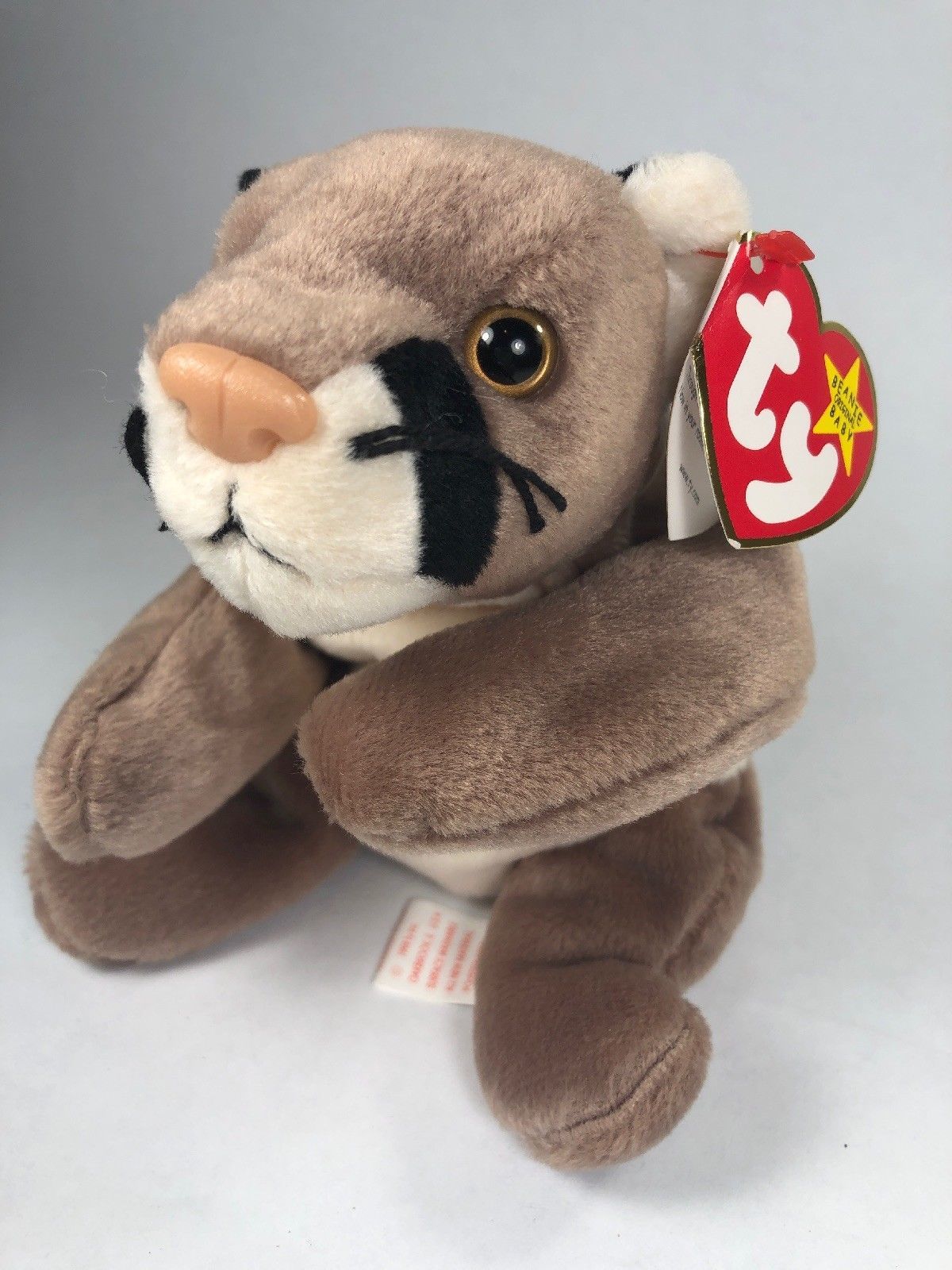 canyon beanie baby