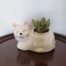 Cat Animal Planter with Succulent, live house plant in ceramic white Kit... - $19.99