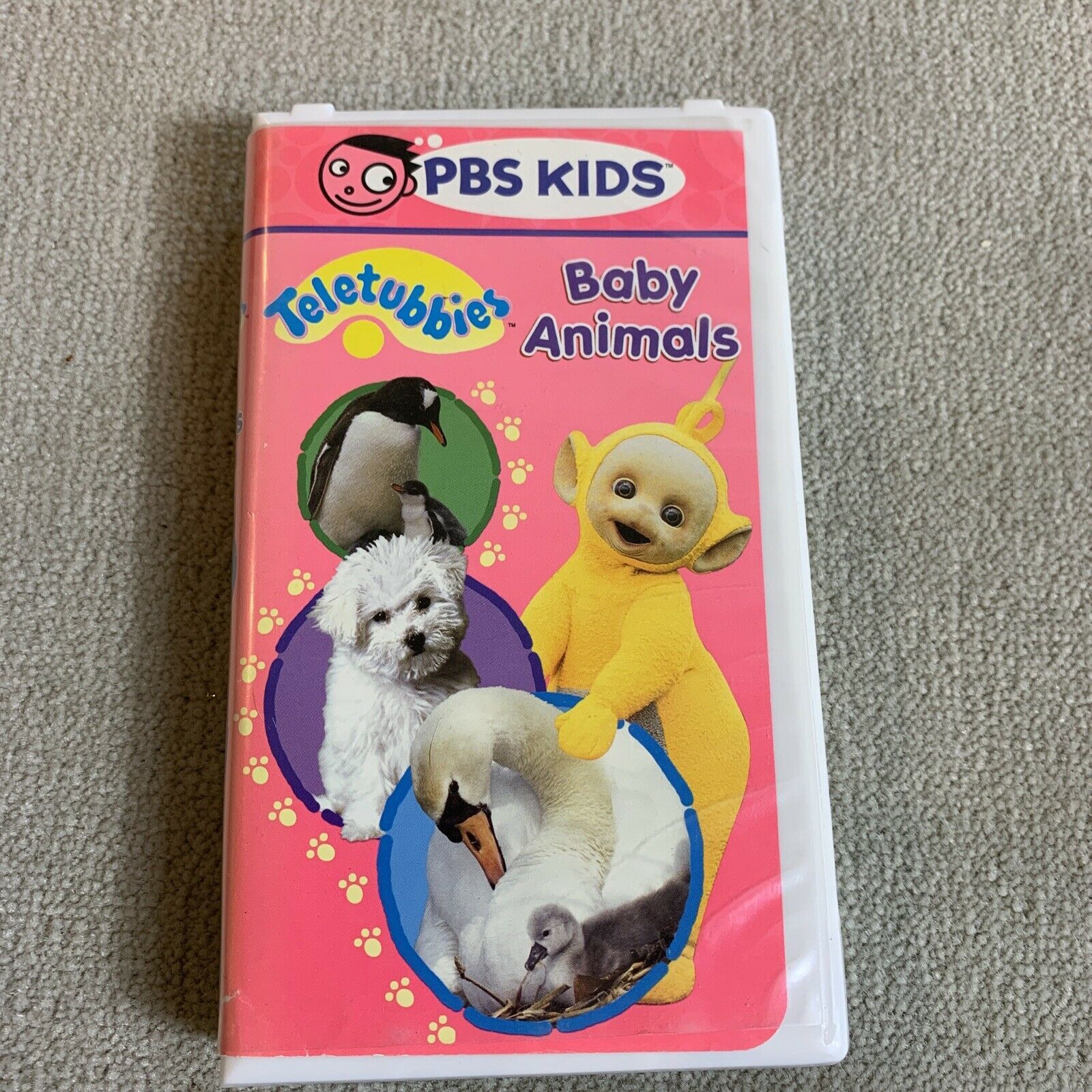 Teletubbies Baby Animals Pbs Kids Vhs Tape Discover Baby Animals ...