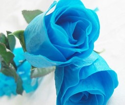 “ 50 seeds ew Rosen Samen Blue Rose Seeds Gothic Gardenin GIM “ - $10.46