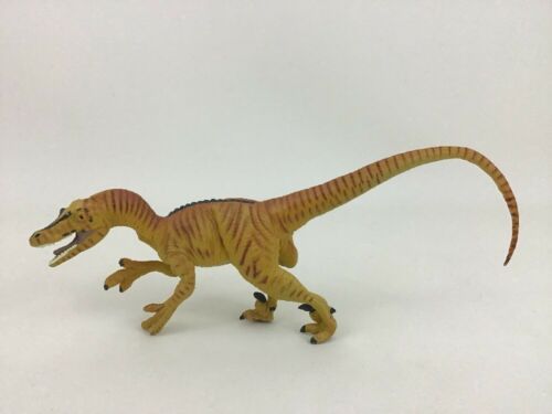 carnegie velociraptor