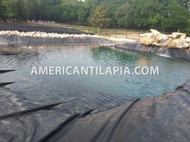 40x40 Pond liner, Commercial, Durable, resistant, 40+ years, Best of 202... - $865.85