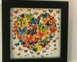 Paint with Diamonds Butterfly Heart Picture