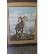 ROCKY MOUNTAIN BIG HORN SHEEP FRAMED PRINT by RAY HARM, FROM 1976, LTD. ... - $408.38