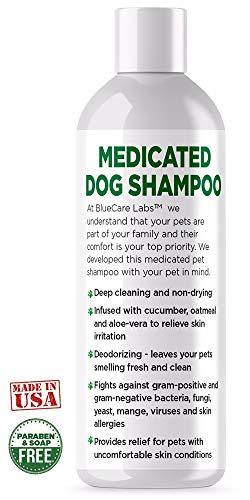 Medicated Dog Shampoo for Skin Allergies Chlorhexidine 4% Shampoo for ...