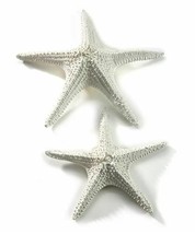 Starfish Figurines Nautical Table Shelf Decor White Ocean Beach Set of 2 Large - $98.99