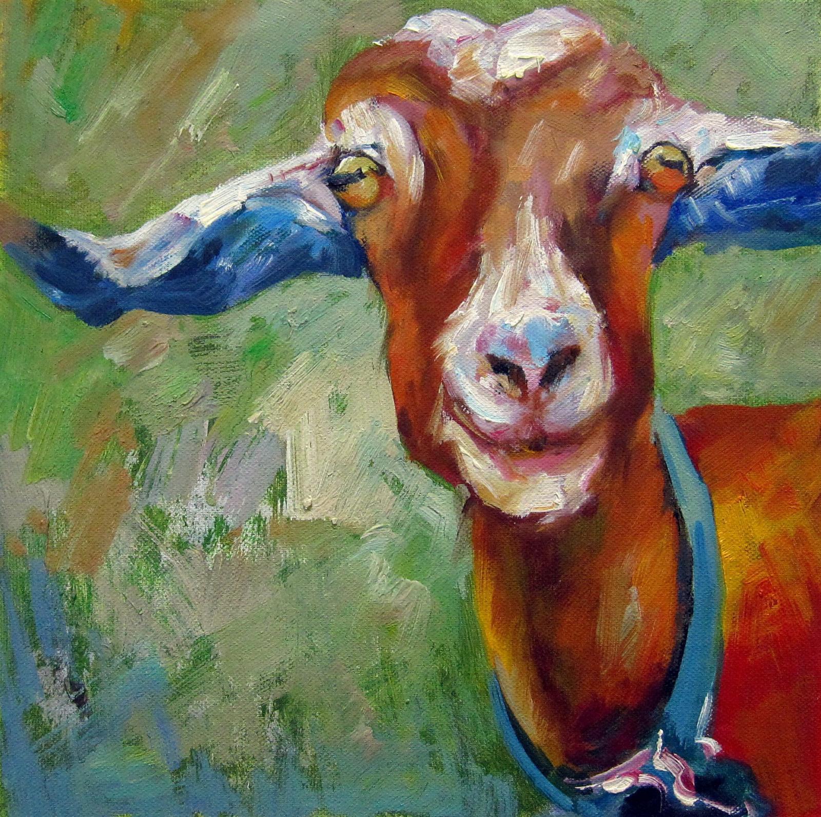 Goat 16x16 in. stretched Oil Painting Canvas Art Wall Decor modern01D