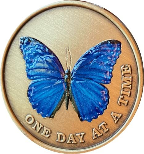 Blue Color Butterfly One Day at A Time Medallion Serenity Prayer Bronze Chip
