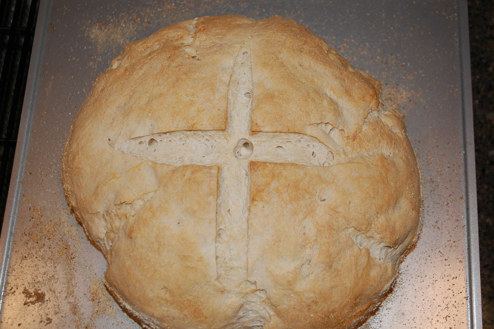 SOURDOUGH STARTER yeast flour dry powder mix San Francisco BEAST+