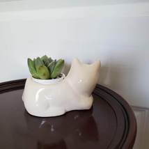 Cat Animal Planter with Succulent, live house plant in ceramic white Kitten Pot image 5