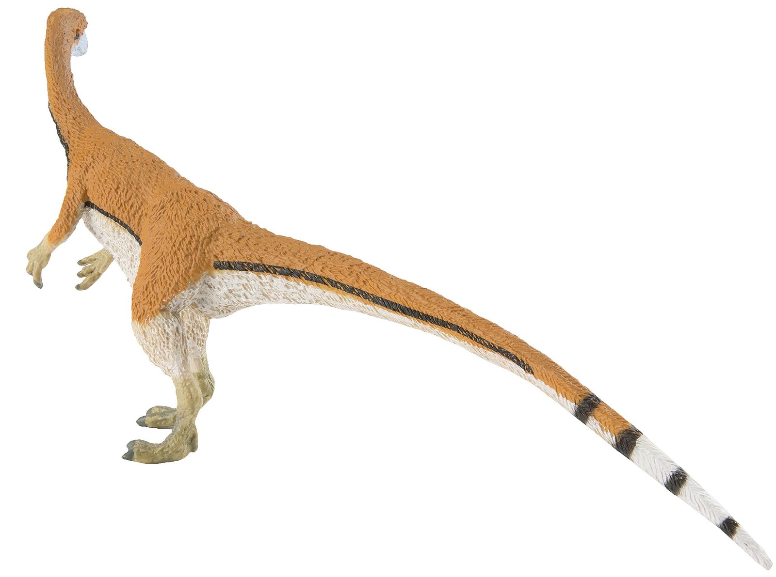 safari ltd coelophysis