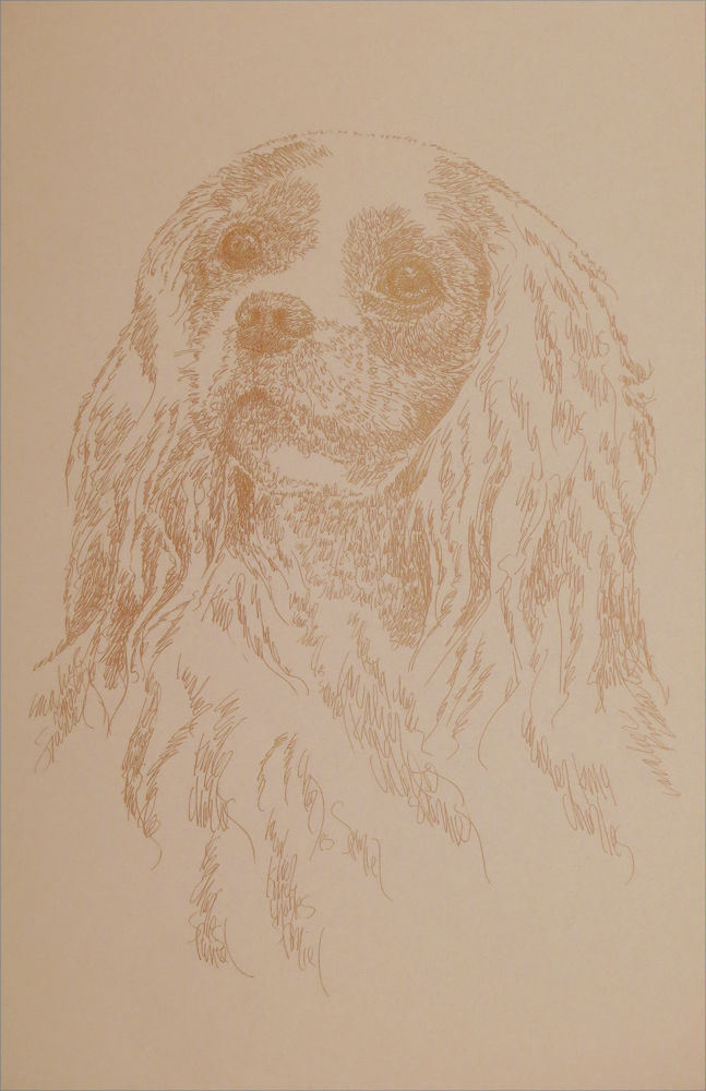 Cavalier King Charles Spaniel Dog Art Portrait #47 Kline adds dog name free.