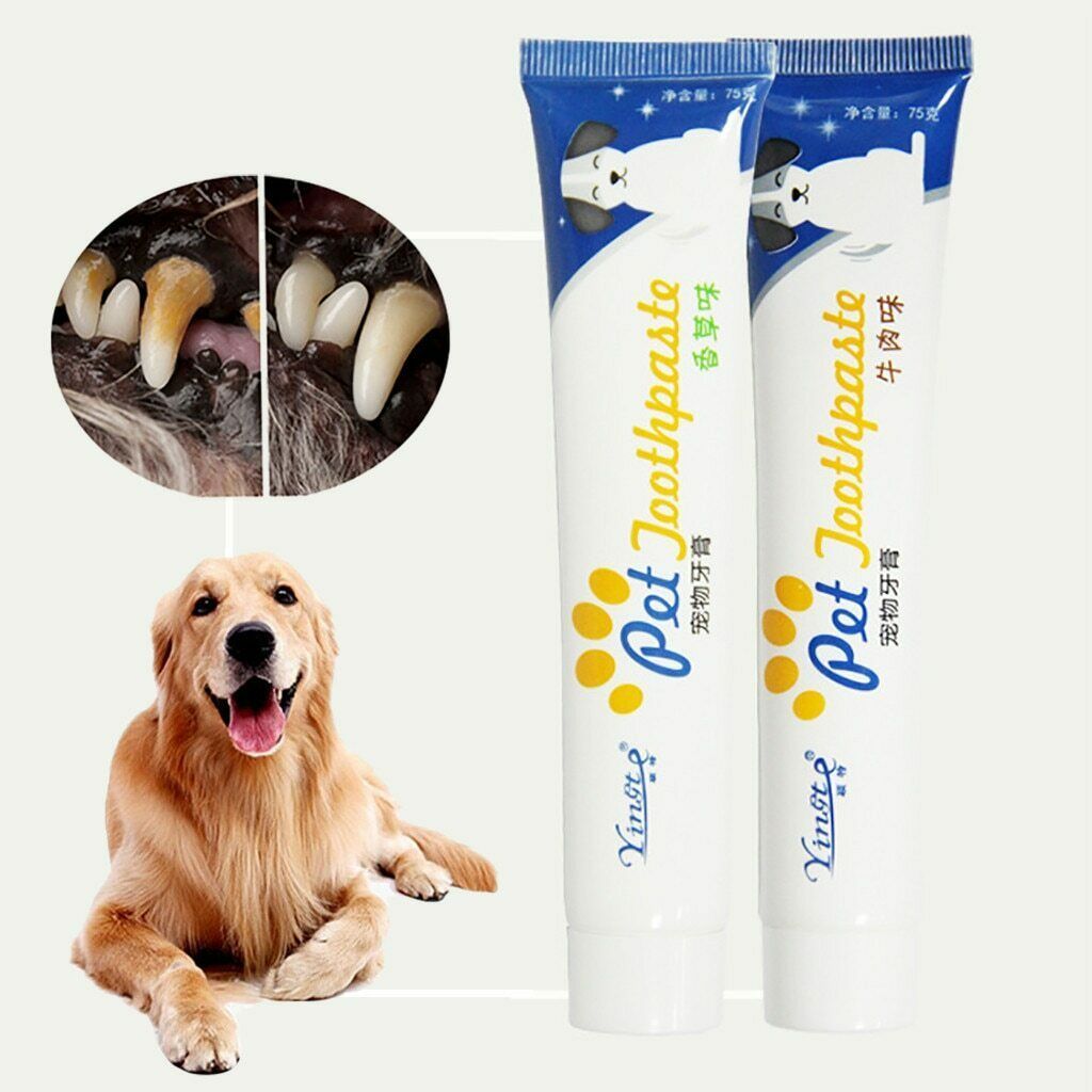 Pet Dog Toothpaste Vanilla/beef Taste Pet Dog Oral Care Cat Dog
