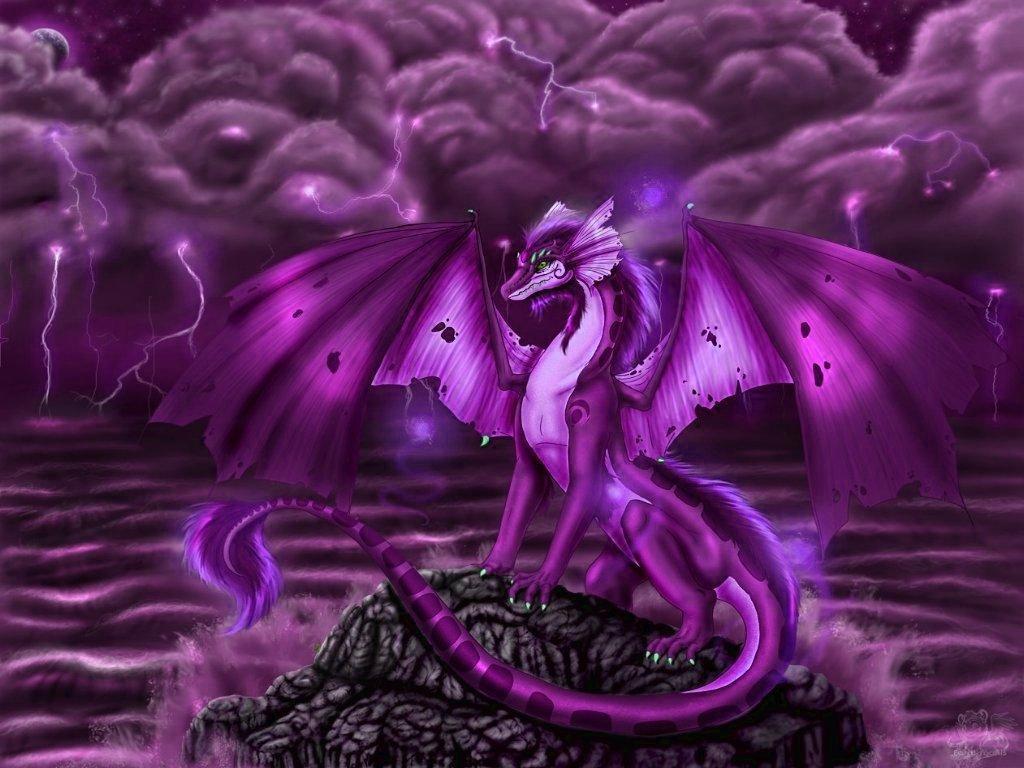 Purple-She-Dragon-115199562317.jpg