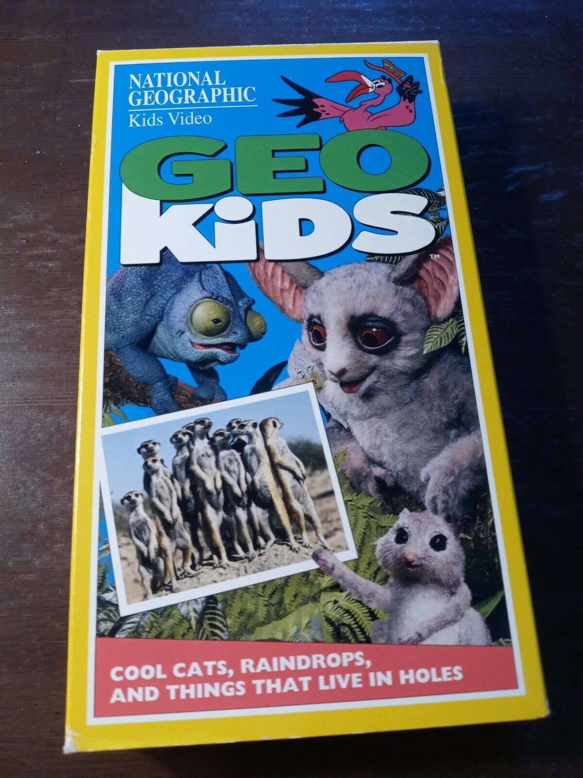 GeoKids - Cool Cats, Raindrops, and Things That Live in Holes (VHS ...