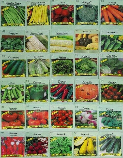Assorted Vegetable & Herb Seeds, 30 Varieties Create Deluxe Garden, 100