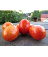 Silvoryi Polysati - great paste tomato - $5.00