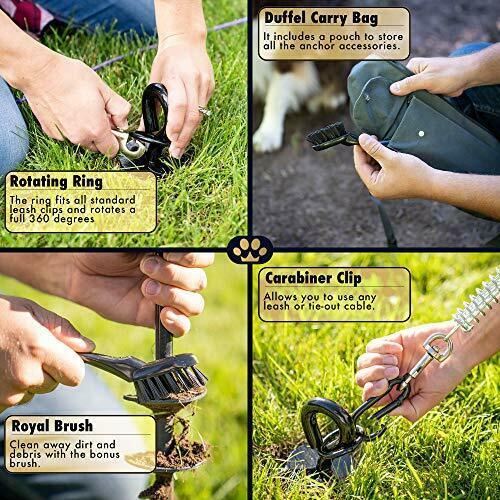 Royal Paw Heavy Duty Dog Tie Out Stake Spiral Ground Anchor for Large