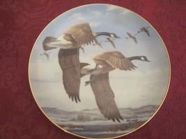 Davis Maass Goose Collector Plate Last Of The Season Water Birds Canada Geese - $19.00
