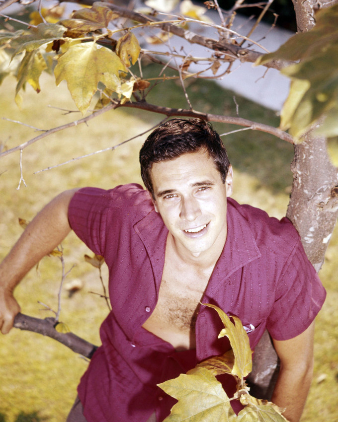Primary image for Bradford Dillman Rare Publicity Shoot Early 1960's Open Shirt 16x20 Canvas