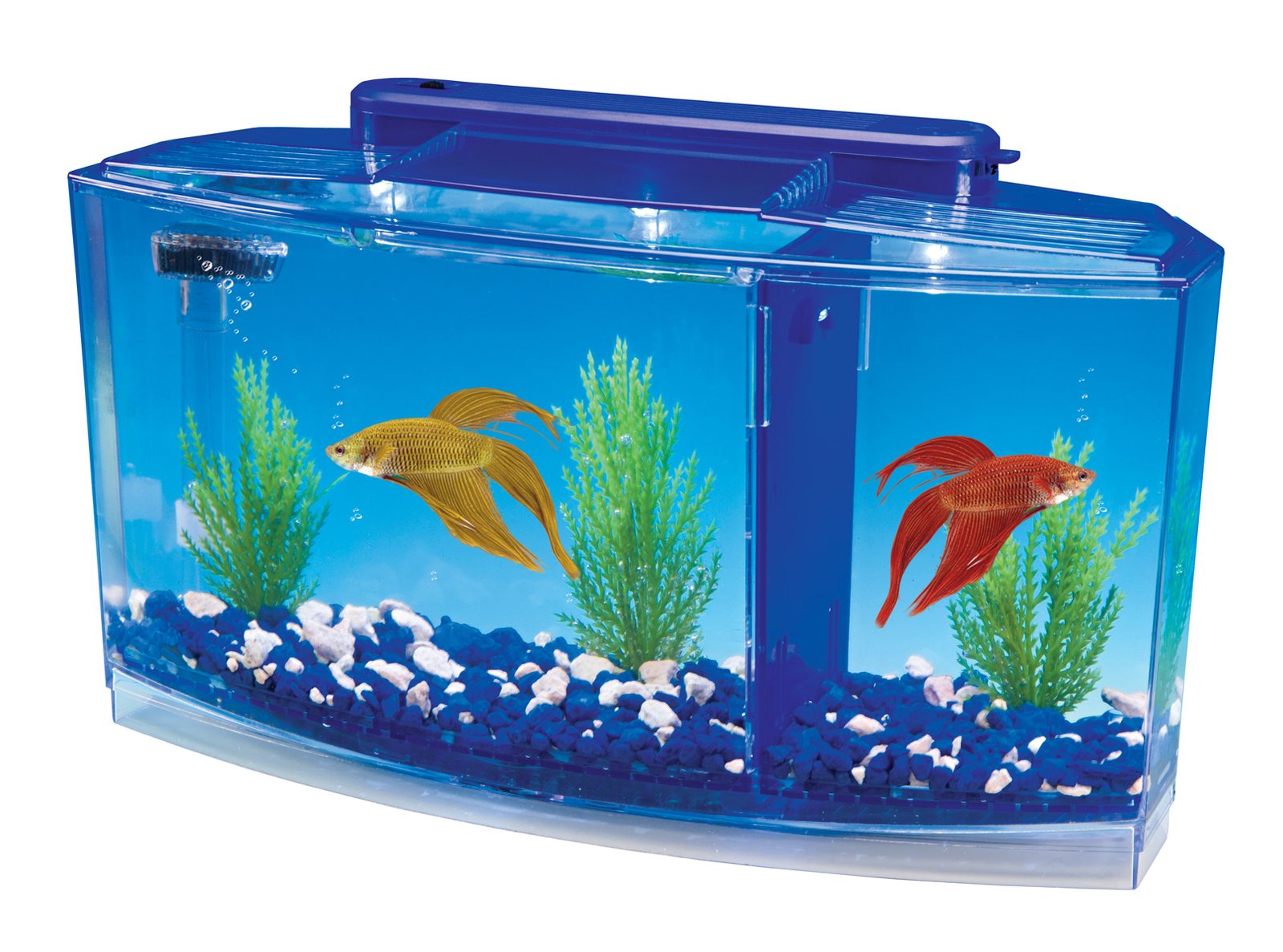 Penn-Plax Deluxe Triple Betta Bow Tank Kit – Divided Spaces – 0.7 Gallon in Blue