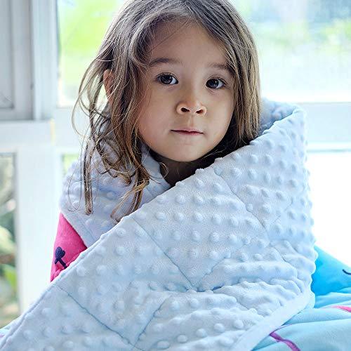 ZonLi Throw Weighted Blanket for Winter 10 lbs, 41''x60 ...