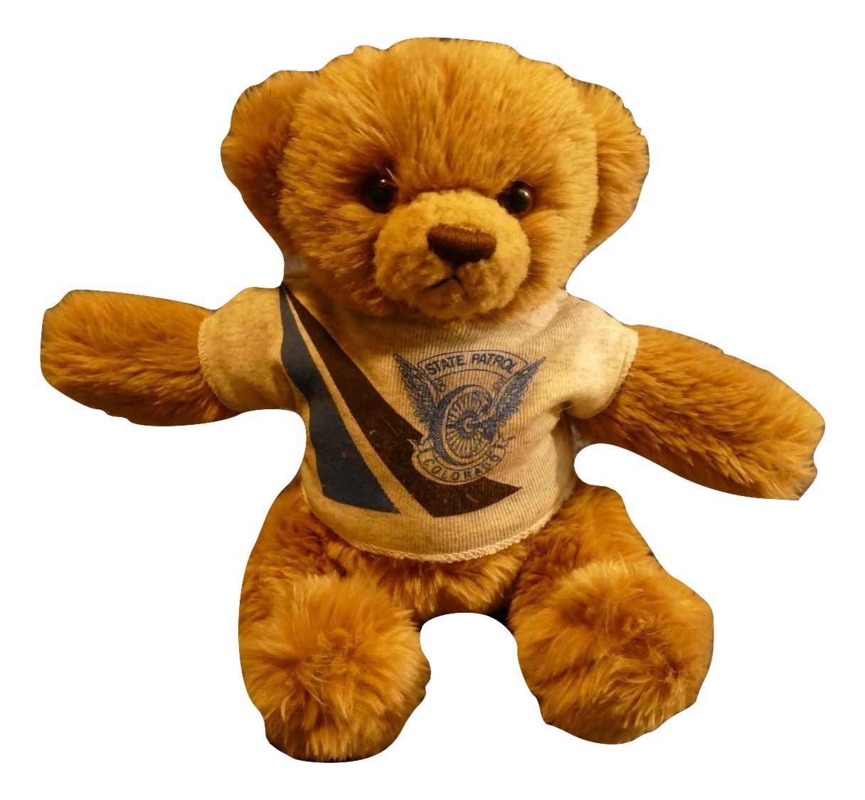 small plush teddy bear