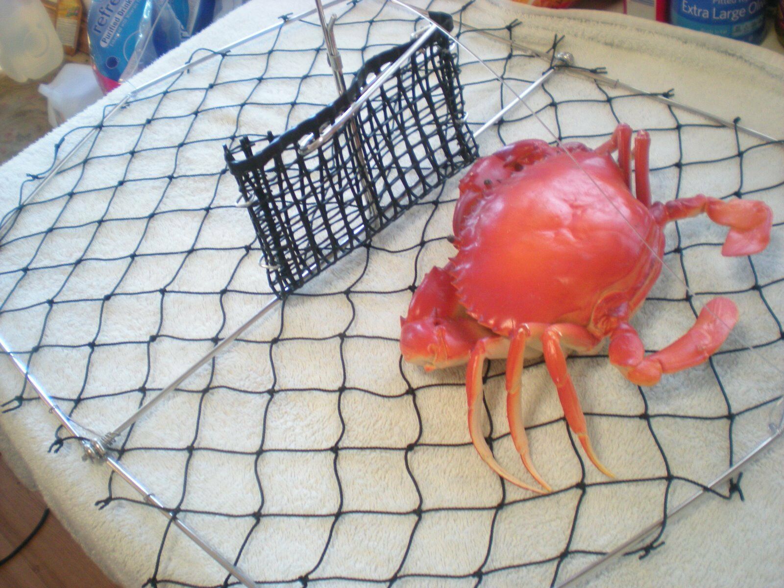 SPORTYs XL MEGA SIZE 24 x18 FOLDING CRAB TRAP BUY 2 Get FREE 5 Loop CRAB SNARE Nets