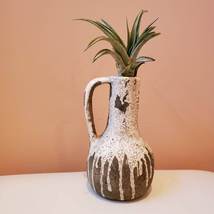 Airplant Vase, Ceramic Vase with Live Air Plant, Tillandsia Decor Gift image 4