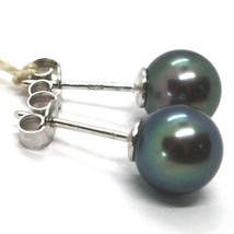 18K WHITE GOLD EARRINGS, WITH FRESHWATER BLACK PEARLS, 8mm, 0.3 inches DIAMETER image 2