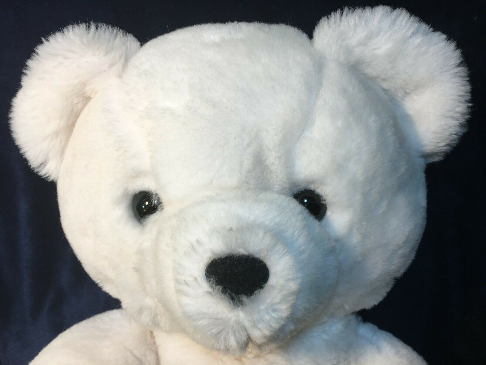 freddie fast bear plush
