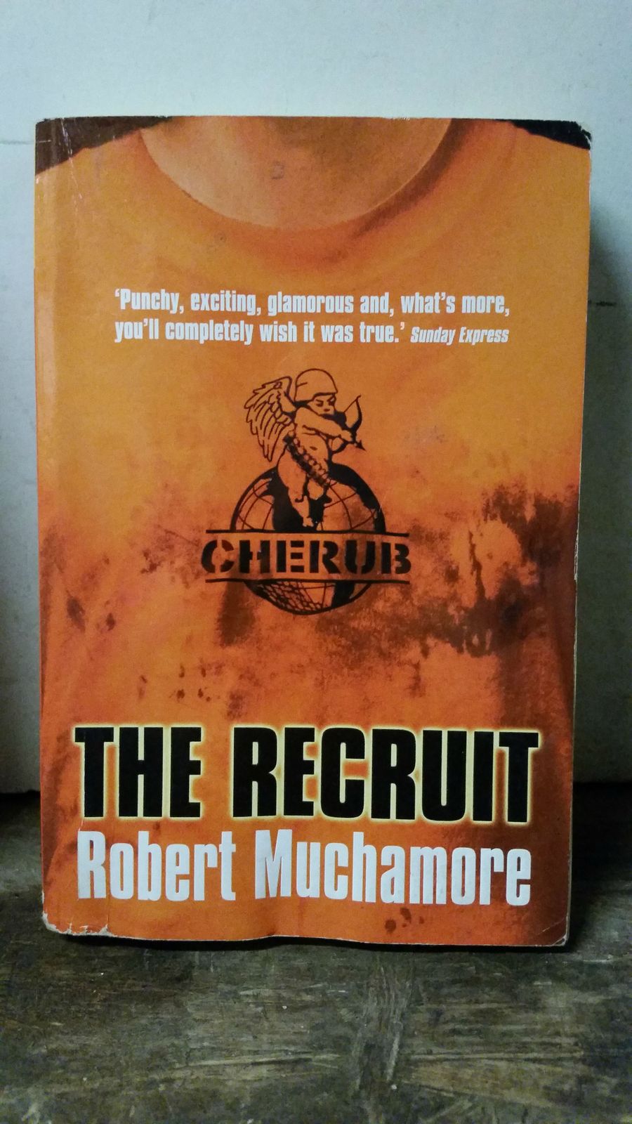 the recruit book 1 robert muchamore