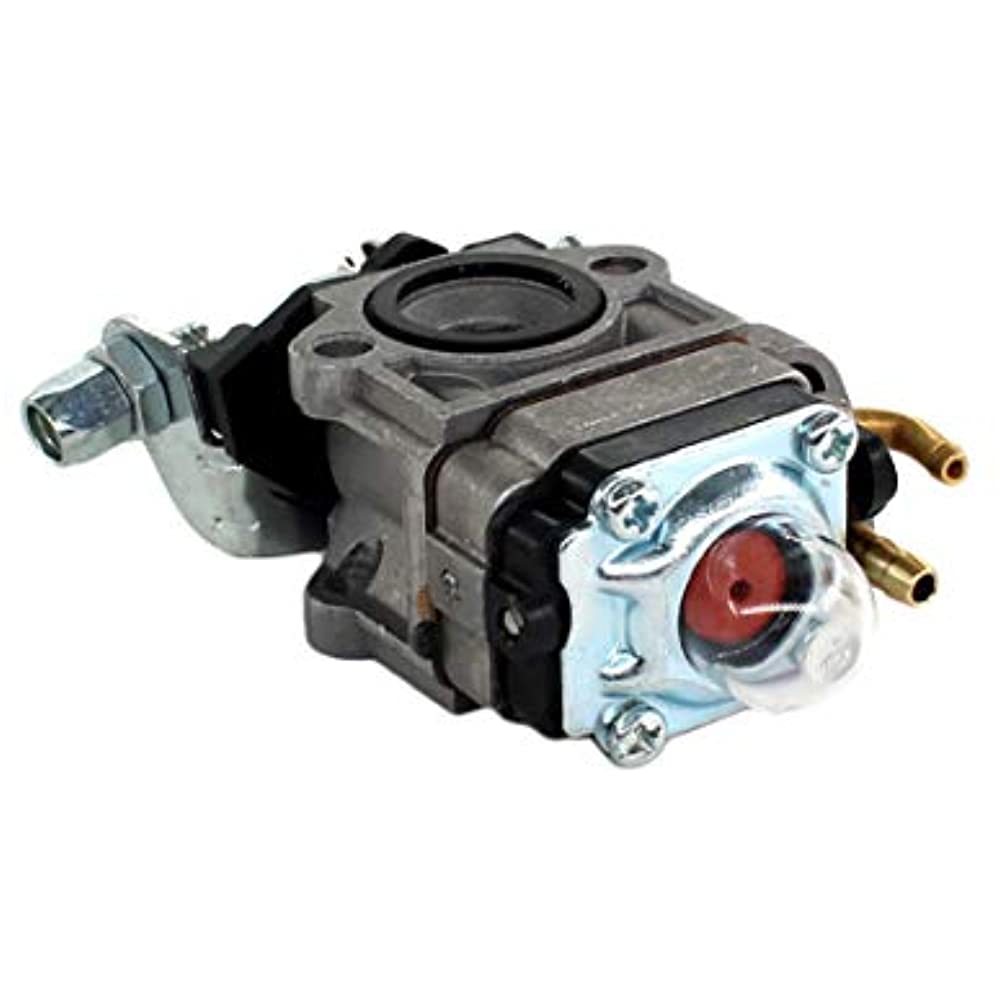 Carburetor for Craftsman 316.79204 31679204 String Trimmer 75306356