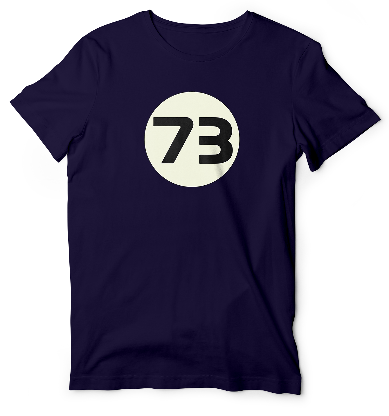 73 t shirt big bang theory