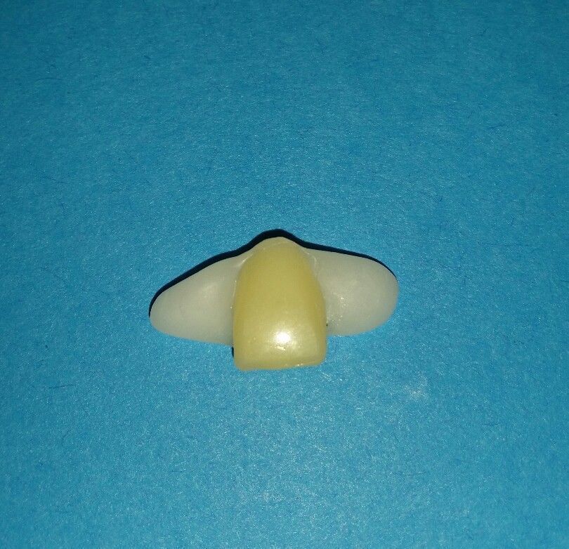 *DIY*Fake Tooth*New Temporary Replacement Front Tooth*Lateral Incisor