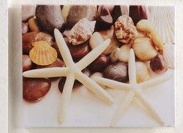Starfish &amp; Shells Stretched Canvas Print Framed Nautical Indoor Outdoor ... - $42.56