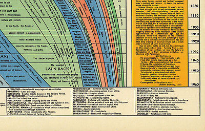 The Histomap of Evolution - 10.000 million Years of Evolution Classroom ...